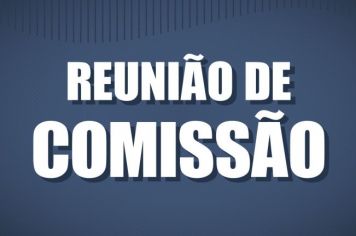 REUNIÃO DA COMISSÃO DE ORÇAMENTO, FINANÇAS, TRIBUTAÇÃO E INFRAESTRUTURA - DIA 20 DE OUTUBRO DE 2020.