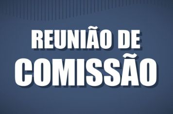 REUNIÃO DA COMISSÃO DE ORÇAMENTO, FINANÇAS, TRIBUTAÇÃO E INFRAESTRUTURA - DIA 10 DE NOVEMBRO DE 2020.