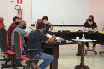 REUNIÃO DA COMISSÃO DE CONSTITUIÇÃO, JUSTIÇA, REDAÇÃO FINAL E DESENVOLVIMENTO SOCIAL.