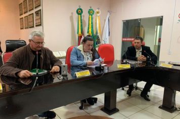 REUNIÃO DA COMISSÃO DE CONSTITUIÇÃO, JUSTIÇA, REDAÇÃO FINAL E DESENVOLVIMENTO SOCIAL