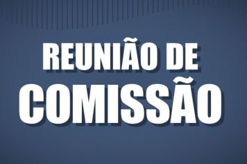 REUNIÃO DA COMISSÃO DE CONSTITUIÇÃO, JUSTIÇA, REDAÇÃO FINAL E DESENVOLVIMENTO SOCIAL - DIA 27 DE OUTUBRO DE 2020.