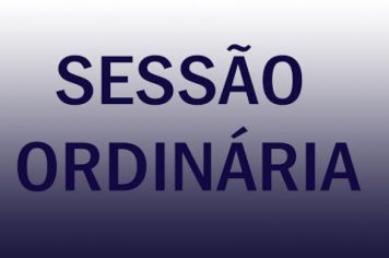 SESSÃO ORDINÁRIA – 03 DE NOVEMBRO DE 2020.