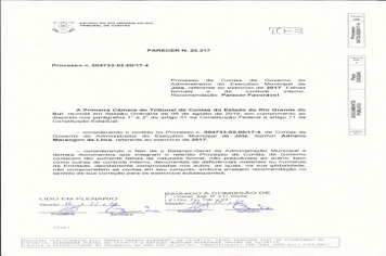 PROCESSO DE CONTAS DE GOVERNO DO PREFEITO MUNICIPAL DO ANO DE 2017.