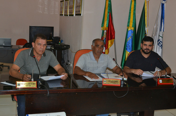 Reunião da Comissão de Constituição, Justiça, Redação Final e Desenvolvimento Social dia 02 de abril de 2019.