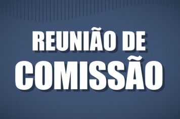 REUNIÃO DA COMISSÃO DE ORÇAMENTO, FINANÇAS, TRIBUTAÇÃO E INFRAESTRUTURA - DIA 03 DE NOVEMBRO DE 2020.