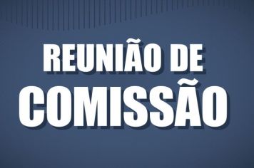 REUNIÃO DA COMISSÃO DE CONSTITUIÇÃO, JUSTIÇA, REDAÇÃO FINAL E DESENVOLVIMENTO SOCIAL - DIA 30 DE SETEMBRO 2020.
