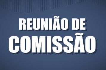 REUNIÃO DA COMISSÃO DE CONSTITUIÇÃO, JUSTIÇA, REDAÇÃO FINAL E DESENVOLVIMENTO SOCIAL - DIA 01 DE SETEMBRO 2020.