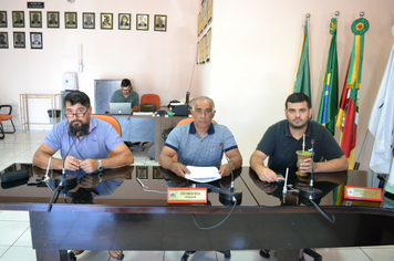 REUNIÃO DA COMISSÃO DE CONSTITUIÇÃO, JUSTIÇA, REDAÇÃO FINAL E DESENVOLVIMENTO SOCIAL.