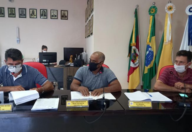 REUNIÃO DA COMISSÃO DE CONSTITUIÇÃO, JUSTIÇA, REDAÇÃO FINAL E DESENVOLVIMENTO SOCIAL 