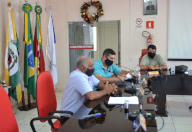 Reunião da Comissão de Constituição, Justiça, Redação Final e Desenvolvimento Social, realizada no dia 01 de novembro de 2020.