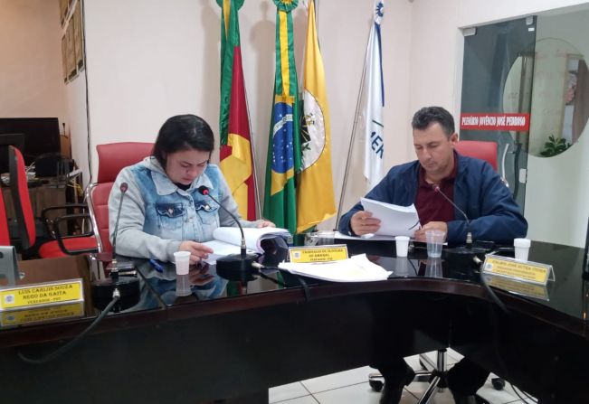 REUNIÃO DA COMISSÃO DE CONSTITUIÇÃO, JUSTIÇA, REDAÇÃO FINAL E DESENVOLVIMENTO SOCIAL